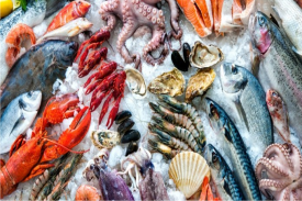 Mariscos y Marisqueria en Cuernavaca