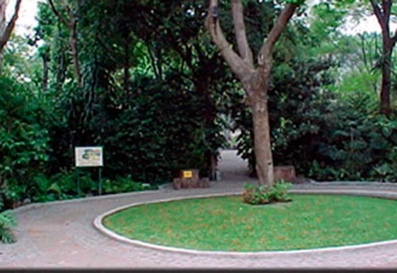 Cuernavaca Jardín Etnobotánico