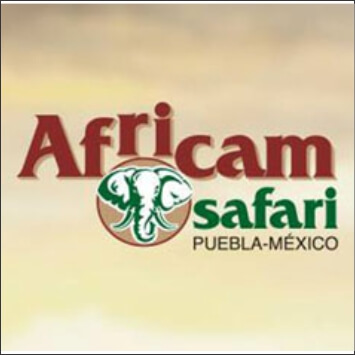 africam safari puebla