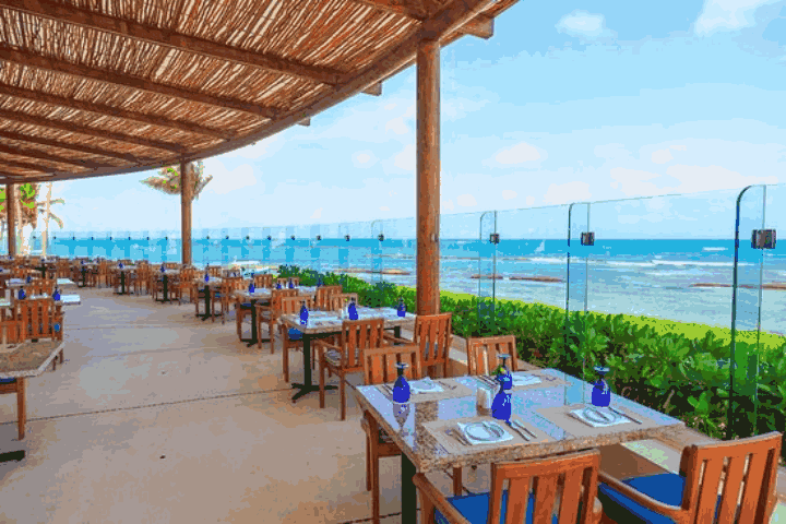 restaurantes playa del carmen