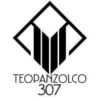 Teopanzolco 307